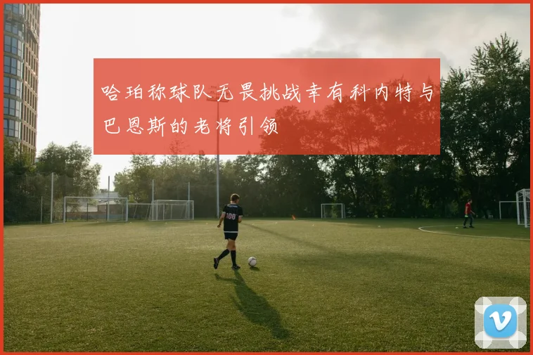 哈珀称球队无畏挑战幸有科内特与巴恩斯的老将引领